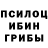 Галлюциногенные грибы мухоморы Iqboljon Xoshimov