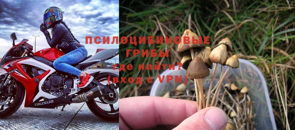 ALPHA PVP Баксан