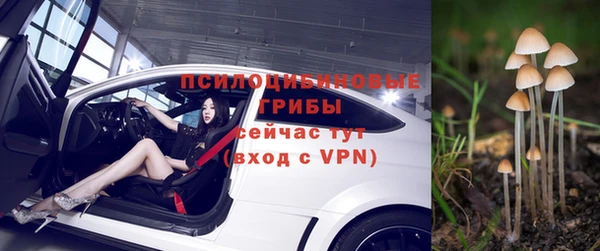 ALPHA PVP Баксан